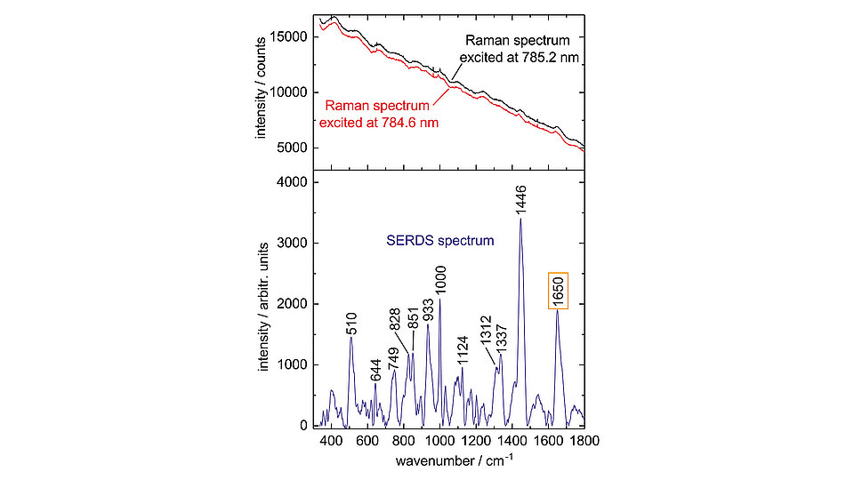 The image shows a graph depicting Raman spectra of an undyed wool sample excited at two slightly shifted laser wavelengths and reconstructed SERDS spectrum.