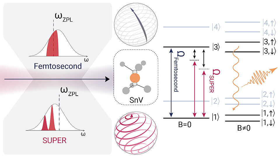 Diagram of femtosecond and SUPER excitation of a tin-vacancy (SnV) center in diamond. Left panels show resonant femtosecond excitation at the zero-phonon line and off-resonant SUPER excitation. Center shows the SnV structure and spin states. Right panels show energy levels and optical transitions at zero and nonzero magnetic field.