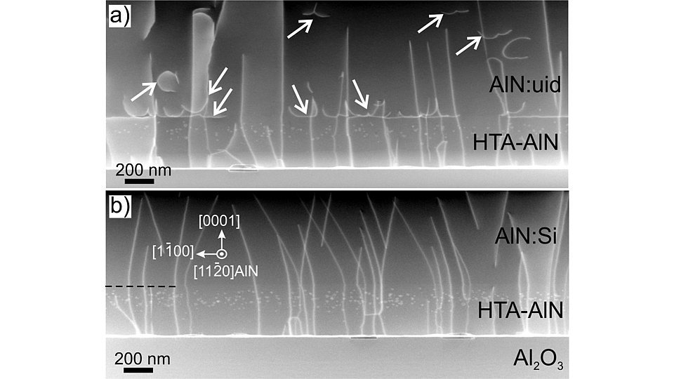 Fig. 2: Cross-sectional ADF STEM images of (a) AlN:uid and (b) AlN:Si. White arrows in (a) point to dislocation half-loops, propagating from the surface in the undoped AlN:uid layer. These defects are absent in the AlN:Si layer shown in b).