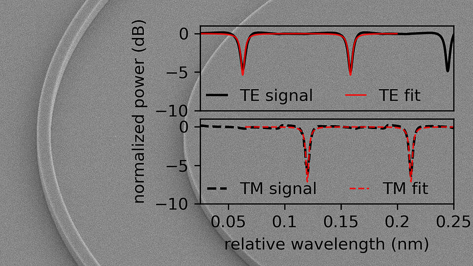 Rasterelektronenmikroskopie-Bild eines tiefgeätzten Euler-U-Bogen-Segments. Darüber liegen zwei Diagramme als Overlay. Das obere Diagramm vergleicht das TE-Signal und dessen Anpassung, während das untere Diagramm das TM-Signal und dessen Anpassung zeigt. Beide Diagramme stellen die normalisierte Leistung (dB) in Abhängigkeit von der relativen Wellenlänge (nm) dar, wobei bei bestimmten Wellenlängen Einbrüche in der Leistung zu sehen sind, die eine enge Übereinstimmung zwischen den Signalen und ihren entsprechenden Anpassungen zeigen.