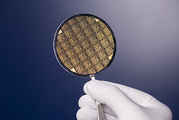 Wafer