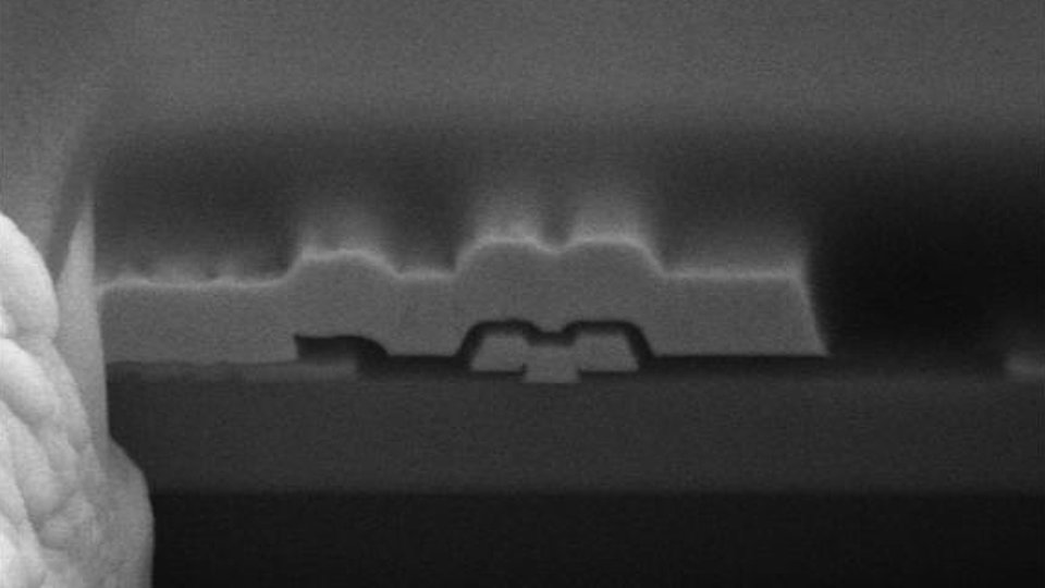 Source connected field plate structure