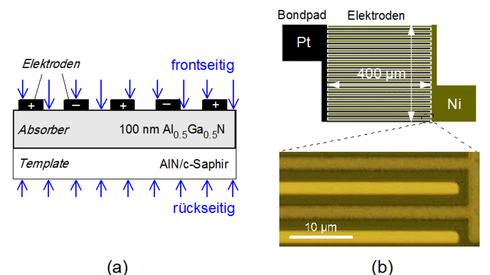 Aufbau eines a-MSM-Fotodetektors