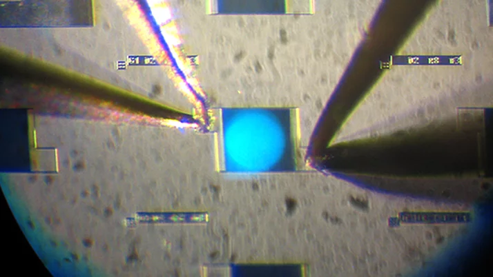 Close-up of a microchip design under the microscope. A blue dot can be seen in the center, surrounded by several small rectangular structures.