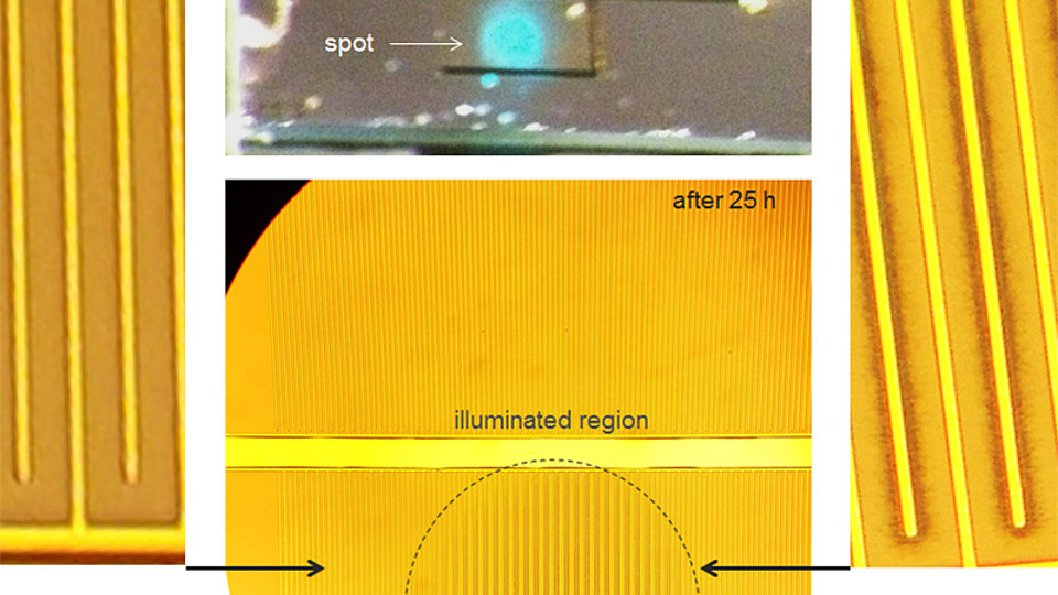 Degradation experiment of an unpassivated AlGaN/AlN MSM PD