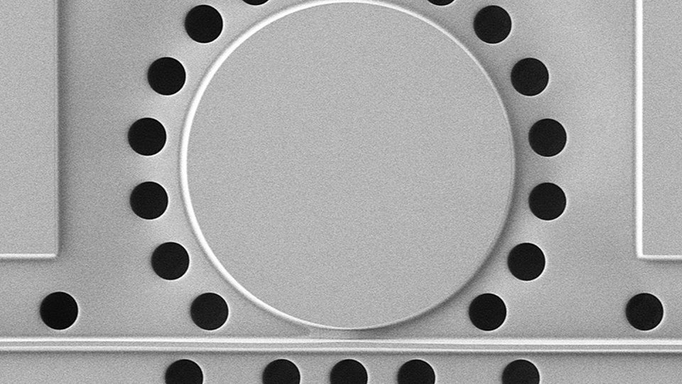 REM-Aufnahme eines integrierten Mikroresonatorsystems