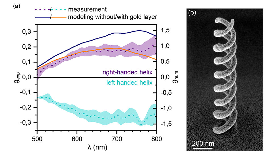 Links stellt ein Diagramm die Messwerte und Modellierungsdaten für eine rechte und linke Helix in Abhängigkeit von der Wellenlänge dar. Rechts zeigt eine Nahaufnahme eine Helix-Struktur mit einer Maßstabsangabe von 200 nm.