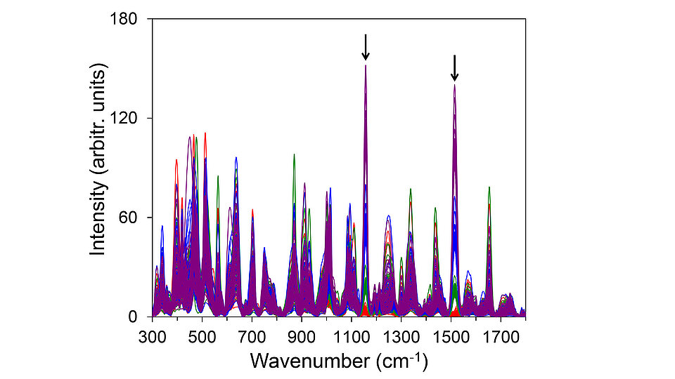 Overlaid line spectra showing intensity versus wavenumber, with multiple colored traces and prominent peaks highlighted by arrows around 1100 and 1500 cm⁻¹ on labeled axes.