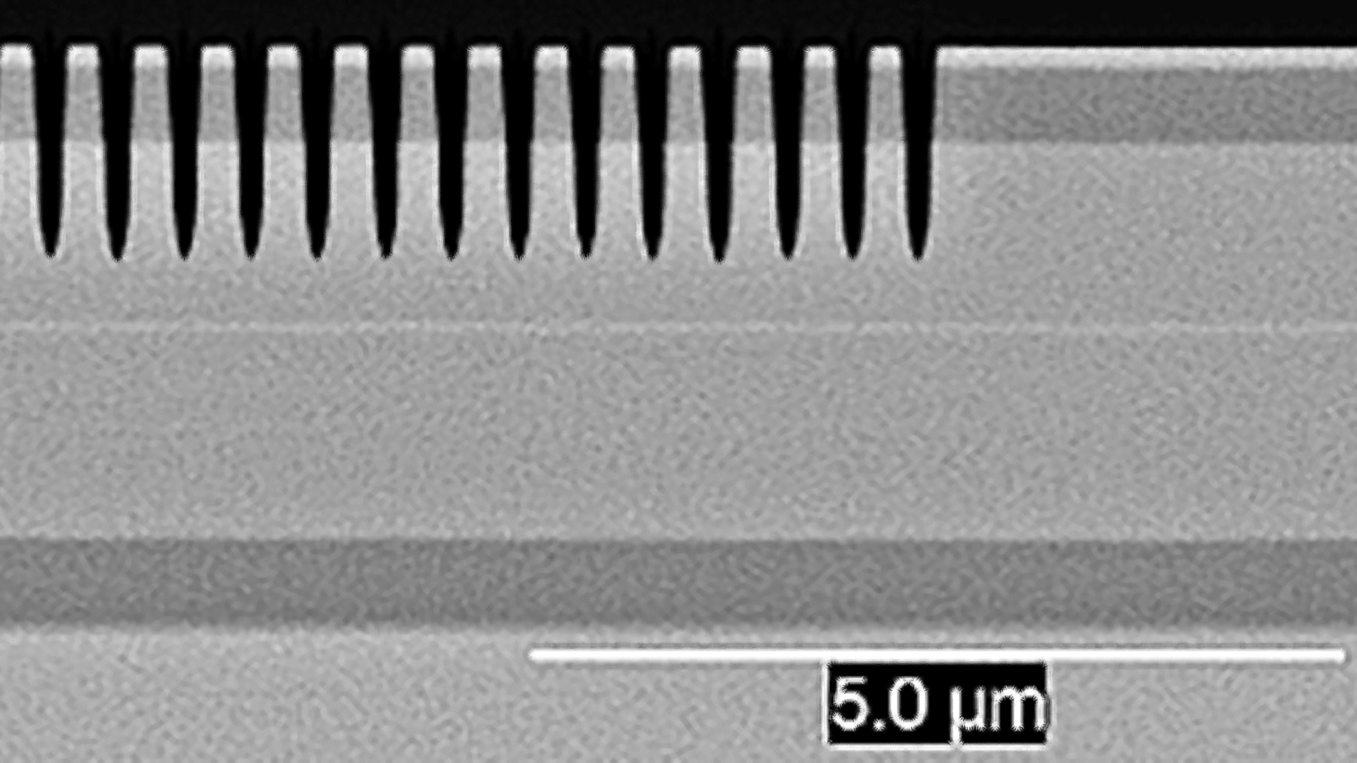 FrequencyStabilized Diode Lasers FerdinandBraunInstitut