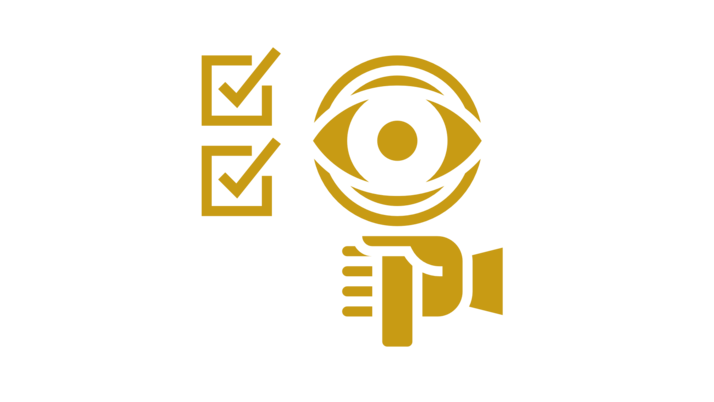 Simplified graphical representation of two checkboxes with checkmarks, next to them a magnified eye in a magnifying glass.