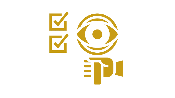 Vereinfachte grafische Darstellung von zwei Checkboxen mit Häkchen, daneben ein vergrößertes Auge in einer Lupe.