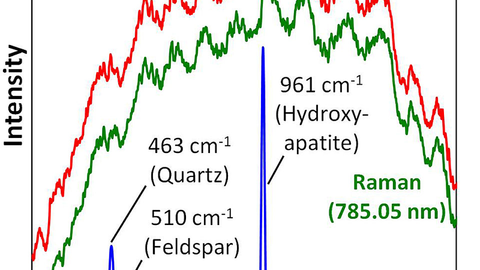 Raman spectra excited at two slightly shifted laser wavelengths 