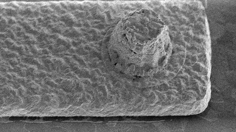 SEM of 10 µm diameter gold-tin bump on electroplated gold line