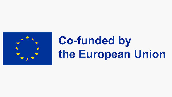 Logo of the European Union