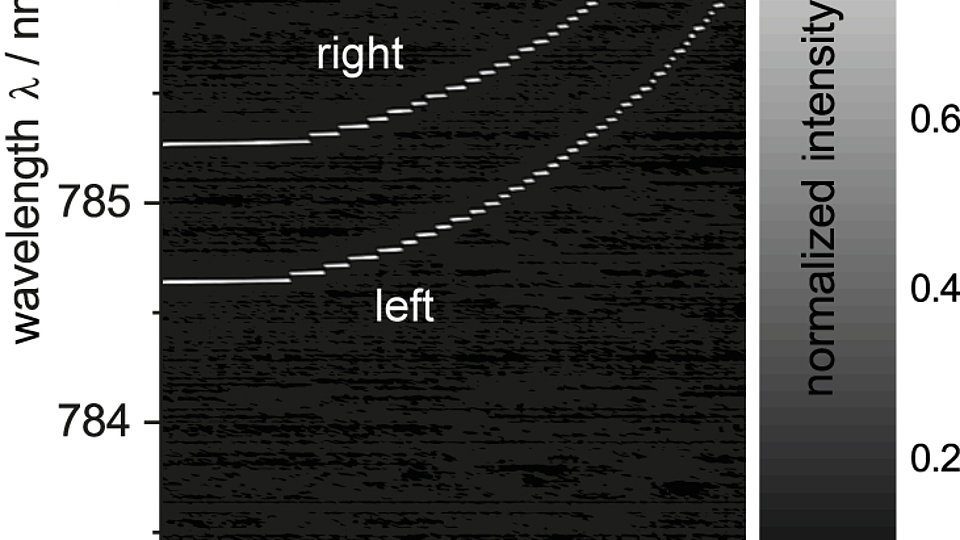 Spectral tuning of the emission wavelength  for the two branches of the Y-branch DBR-RW laser
