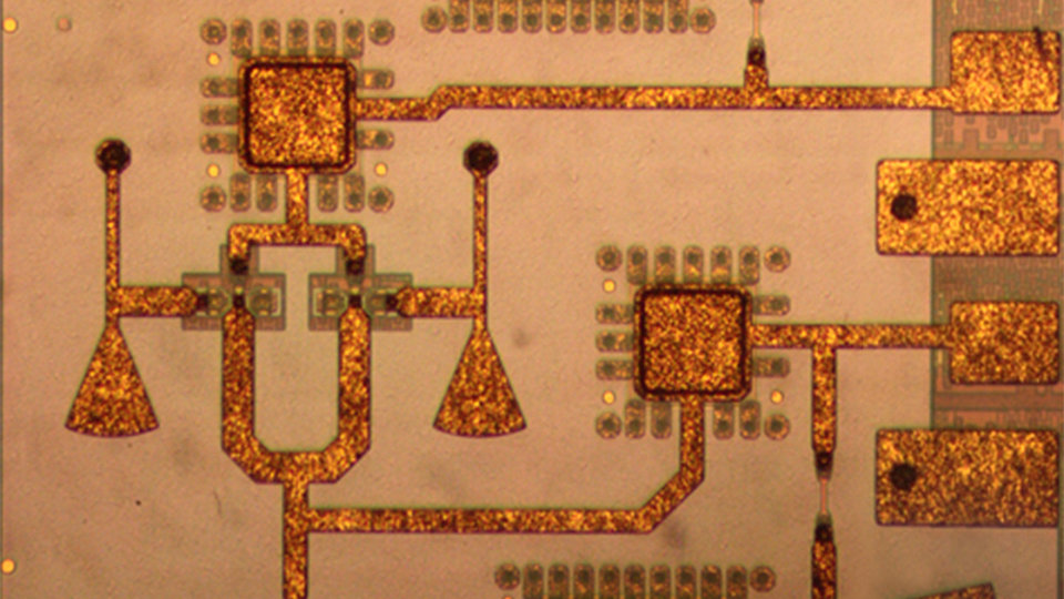Chip photo