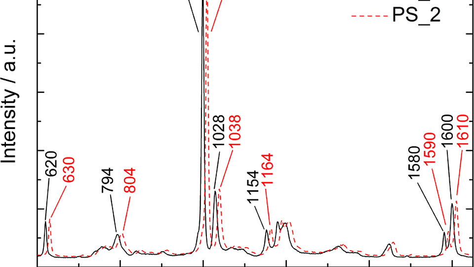 Raman-Spektren Polystyrol
