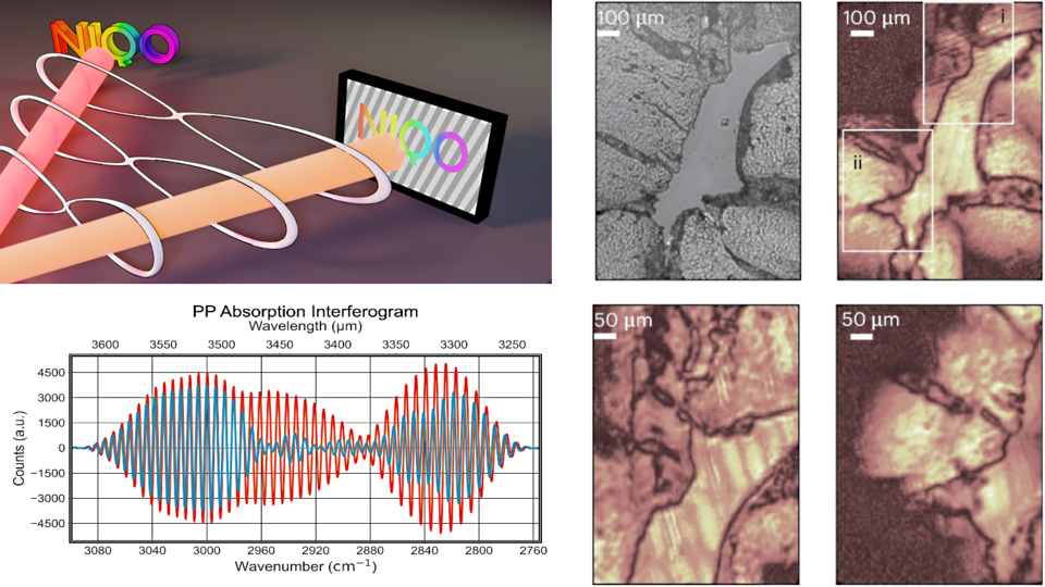 The illustration shows scientific representations, including a graphic presentation with colorful rings and a screen. Further sections show microscope images with different magnifications and a diagram depicting absorption over wave numbers.