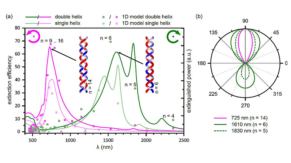 Zwei Diagramme zur Untersuchung der Extinktions- und Leistungsmerkmale von helixförmigen Strukturen. (a) zeigt die Effizienz in Abhängigkeit von der Wellenlänge, während (b) die ausgestoßene Leistung in einem Polarplot darstellt.