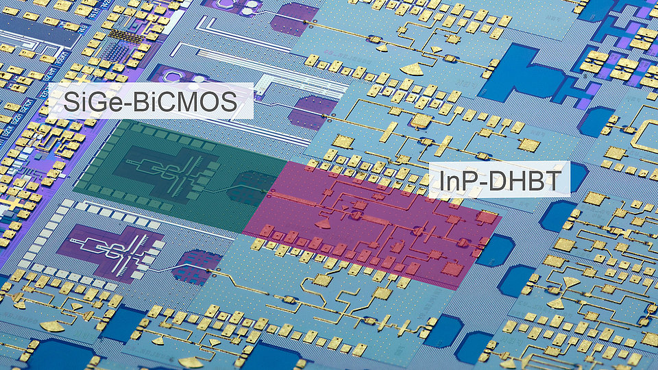 Transfer substrate wafer with InP-on-BiCMOS circuits