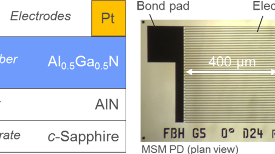 Aufbau eines MSM Fotodetektors