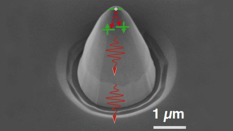 Scanning electron micrograph of a diamond microstructure