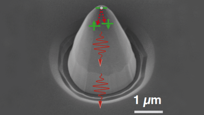 [Translate to English:] Parabolic Reflector with Photons