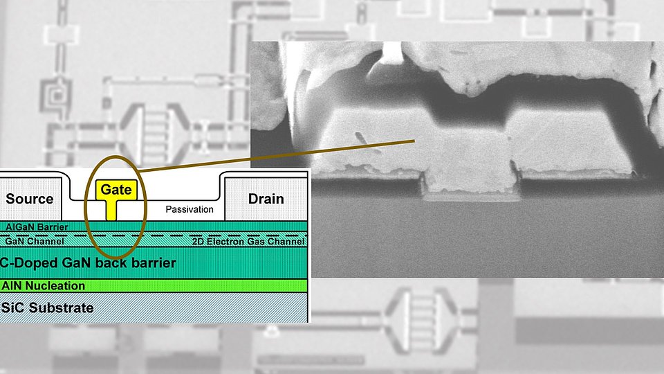 Skizze und REM-Aufnahme eines Gates einer Transistorstruktur