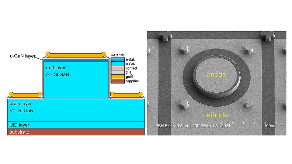 The image shows the schematic of the layer structure and layout of the quasi-vertical pn-diode on the left side. On the right side, it shows an SEM picture of the processed circular device.