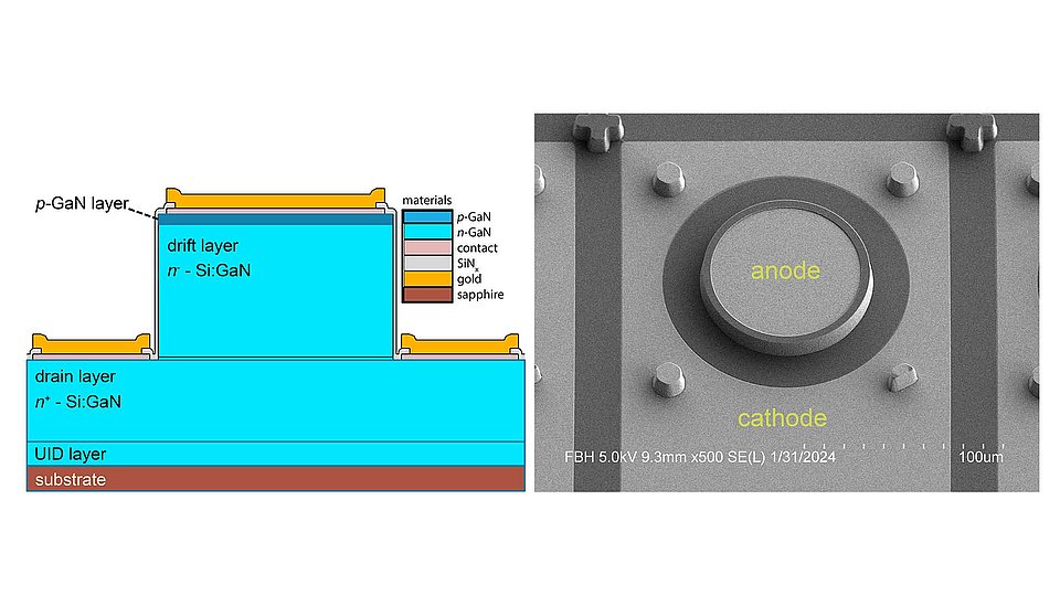 Das Bild zeigt auf der linken Seite die schematische Darstellung der Schichtstruktur und des Layouts der quasi-vertikalen pn-Diode. Auf der rechten Seite ist ein SEM-Bild des kreisförmigen Bauelements zu sehen.