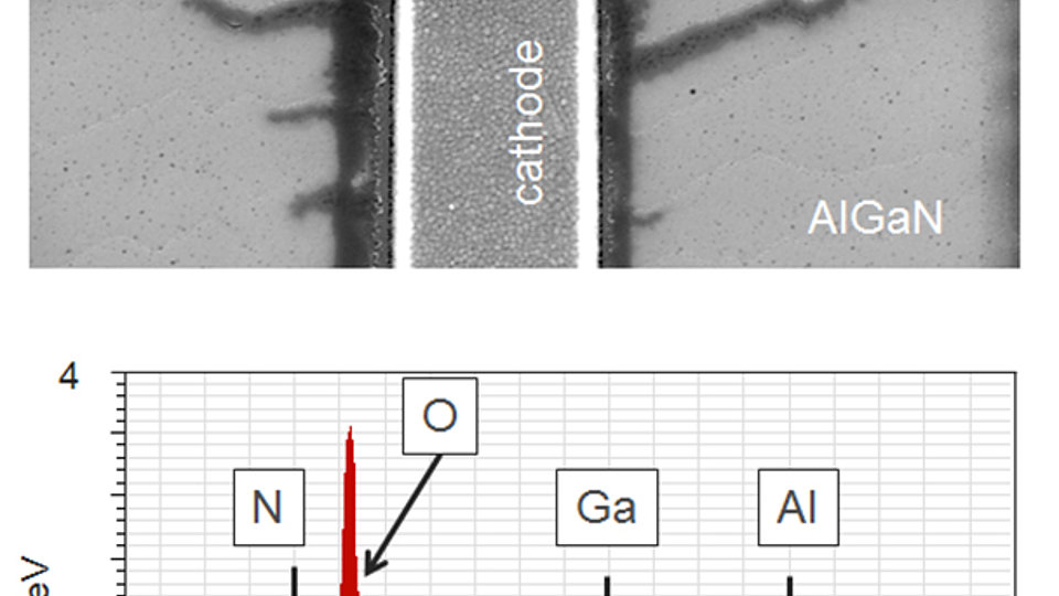 SEM image of degraded cathode & representative EDX spectrum