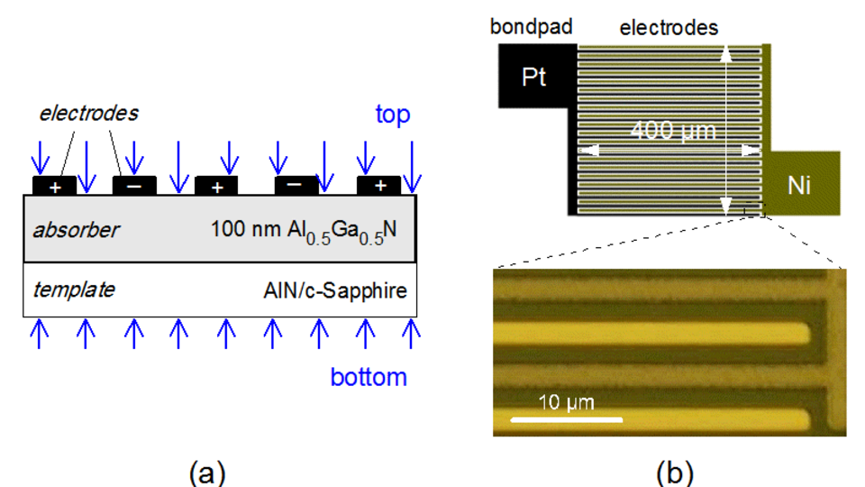 Design of an a-MSM photodetector