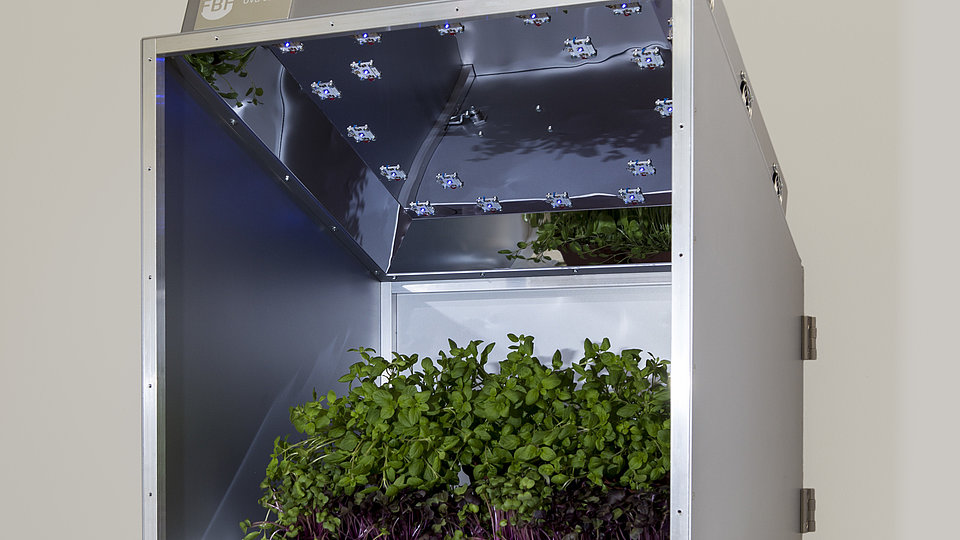 Box-shaped UV LED irradiation module for plant lighting, containing green plants.